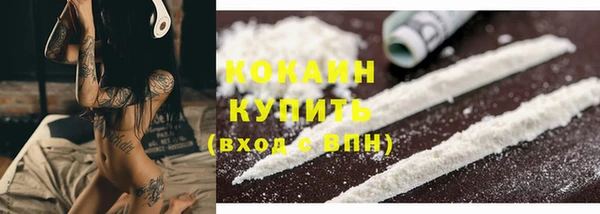 трава Карпинск