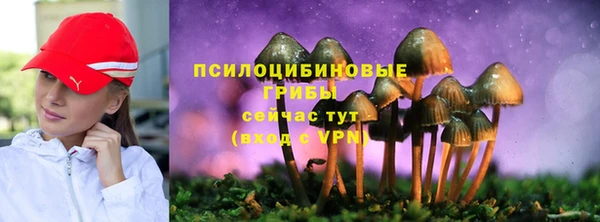 молекула духа Алексеевка