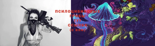соль ск Абинск
