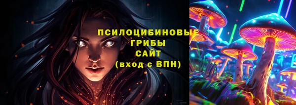 круглые Абаза