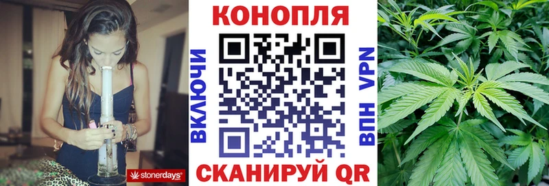 Бошки Шишки гибрид  наркотики  Емва 